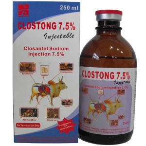 China Gold Supplier for 15% 20% Amoxicillin Suspension Injection - Closantel Injection 7.5% – Fangtong