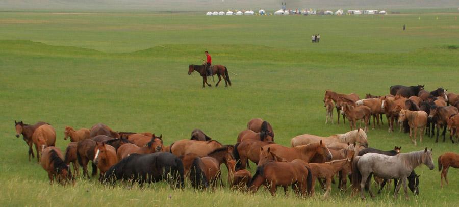 ‘Invisible,’ restricted horse racing therapy may leave a trail