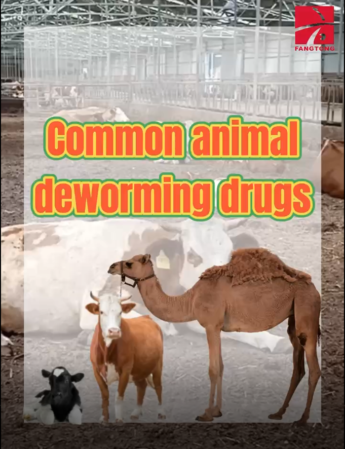Common animal deworming drugs