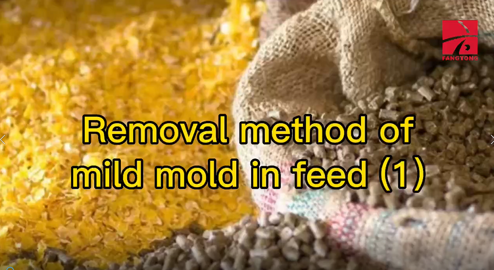 Removal method of mild mold in feed (1)