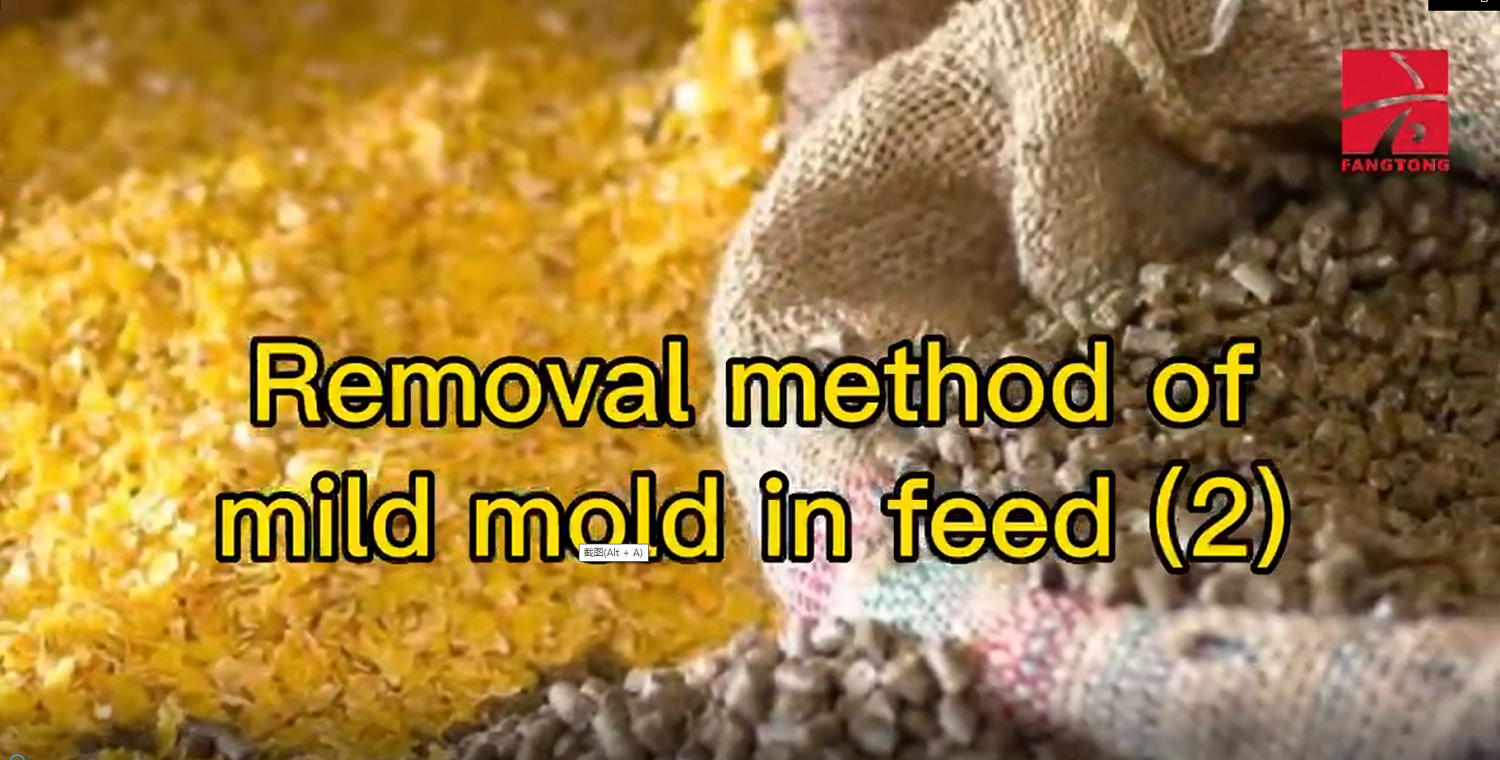 Removal method of mild mold in feed (2)