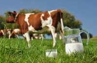 Consumers sour on milk exposed to LED light