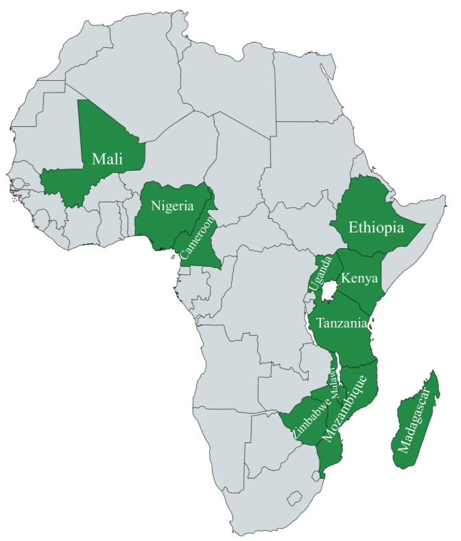 Timing and Extent of Inbreeding in African Goats