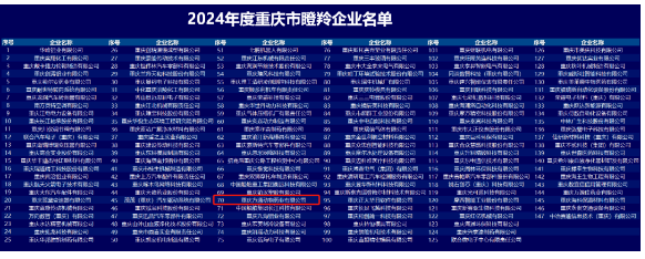 Fangtong was awarded the title of “Gazelle Enterprise” in Chongqing in 2024
