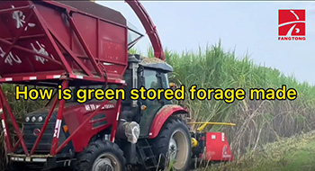 How is green stored forage made