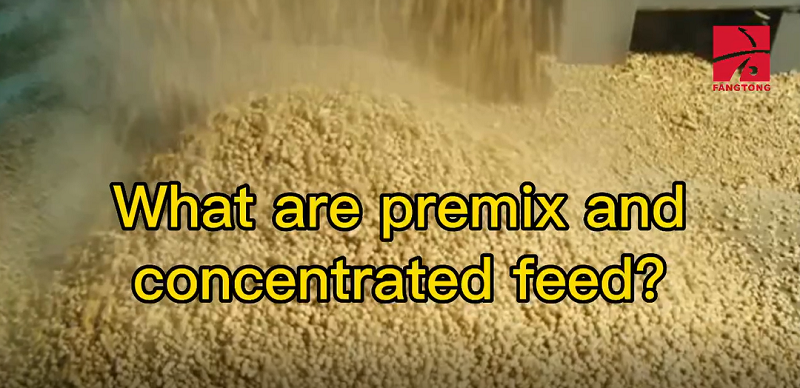 What are premix and concentrated feed ?