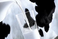 New study finds clear differences between organic and non-organic milk and meat