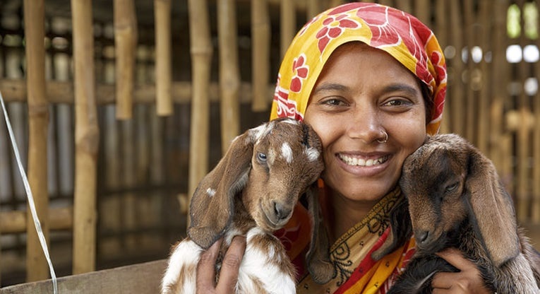 5 ways animals help reduce global poverty