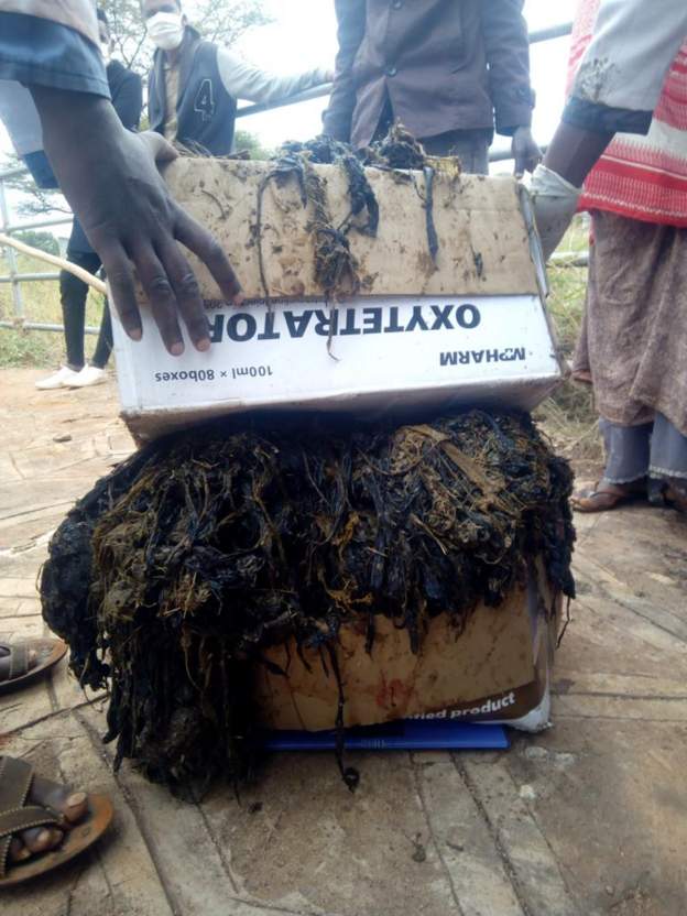 Vets in Ethiopia remove 50 kg of plastic from cow’s stomach
