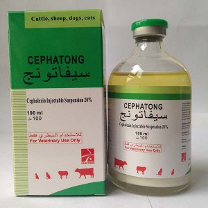 China Supplier Levamisole + Oxyclozanide Suspension -
 Cefalexin Injection 20% – Fangtong