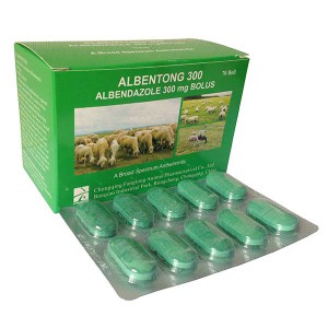 Factory Cheap Hot Livestock Drugs -
 Albendazole bolus 300mg – Fangtong