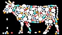 Doctors call on hospitals to oppose the overuse of antibiotics in animal agriculture