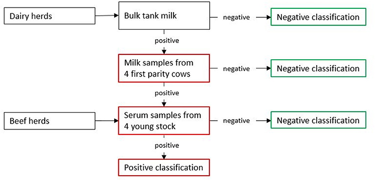 Using Biosecurity Measures to Combat Respiratory Disease in Cattle: The Norwegian Control Program for Bovine Respiratory Syncytial Virus and Bovine Coronavirus