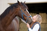 Horses communicate with eyes and mobile ears