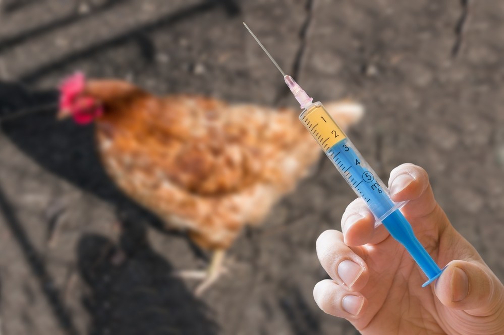 Experts advise using benchmarking to identify farms with high antibiotic use