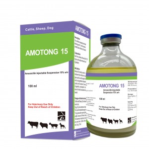 AMOTONG 15  Amoxicillin suspension 15%