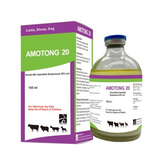 AMOTONG 20  Amoxicillin suspension 20%