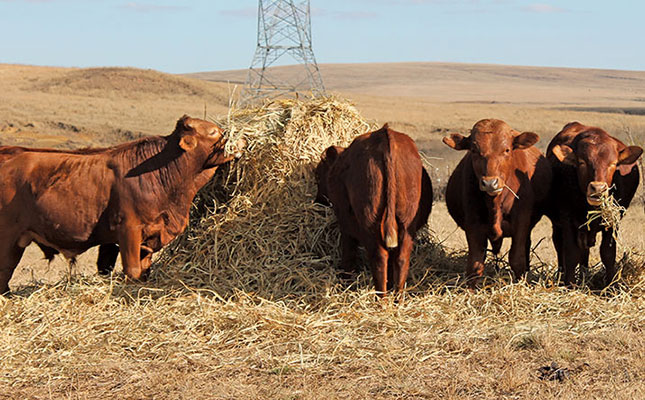 Committed to improving the productivity of livestock farmers