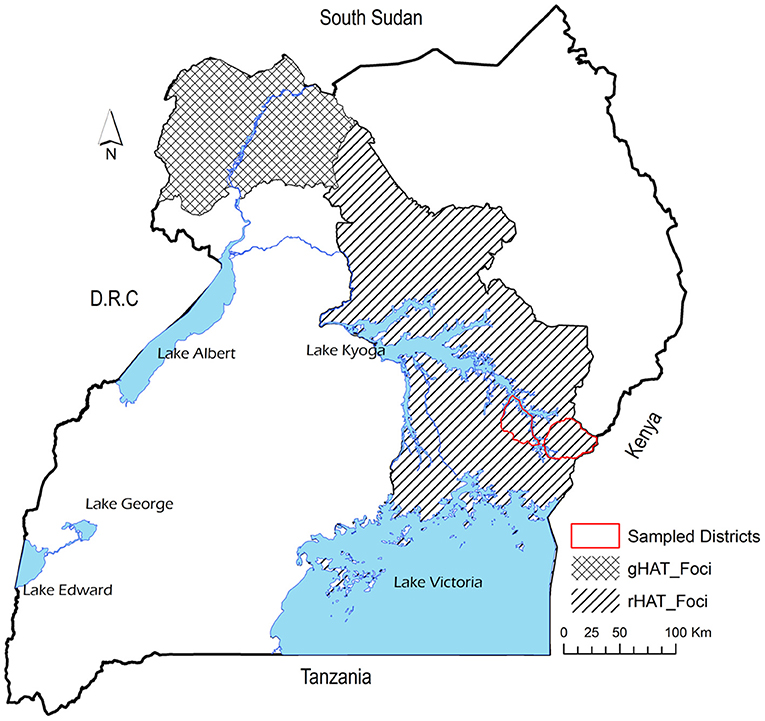 Critical Linkages Between Livestock Production, Livestock Trade and Potential Spread of Human African Trypanosomiasis in Uganda: Bioeconomic Herd Modeling and Livestock Trade Analysis