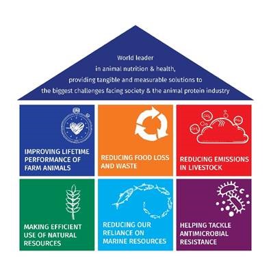 DSM’s reducing emissions from livestock sustainability platform resonates with industry change