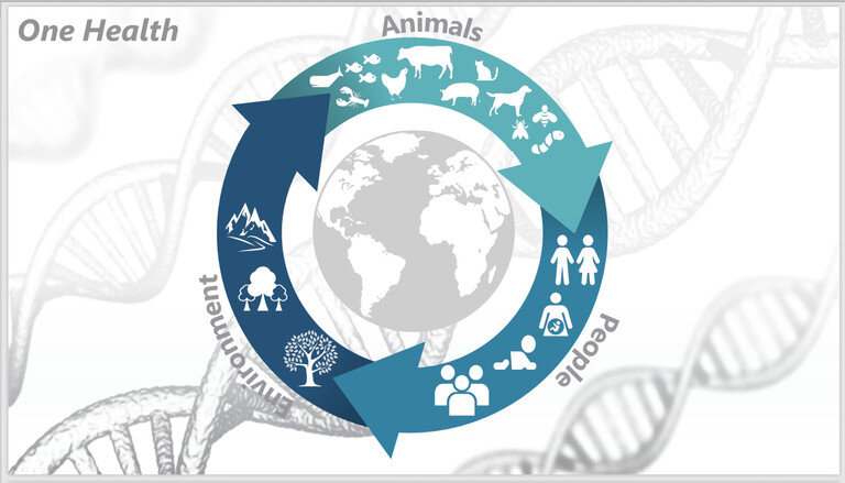 Dairy cows exposed to heavy metals worsen antibiotic-resistant pathogen crisis