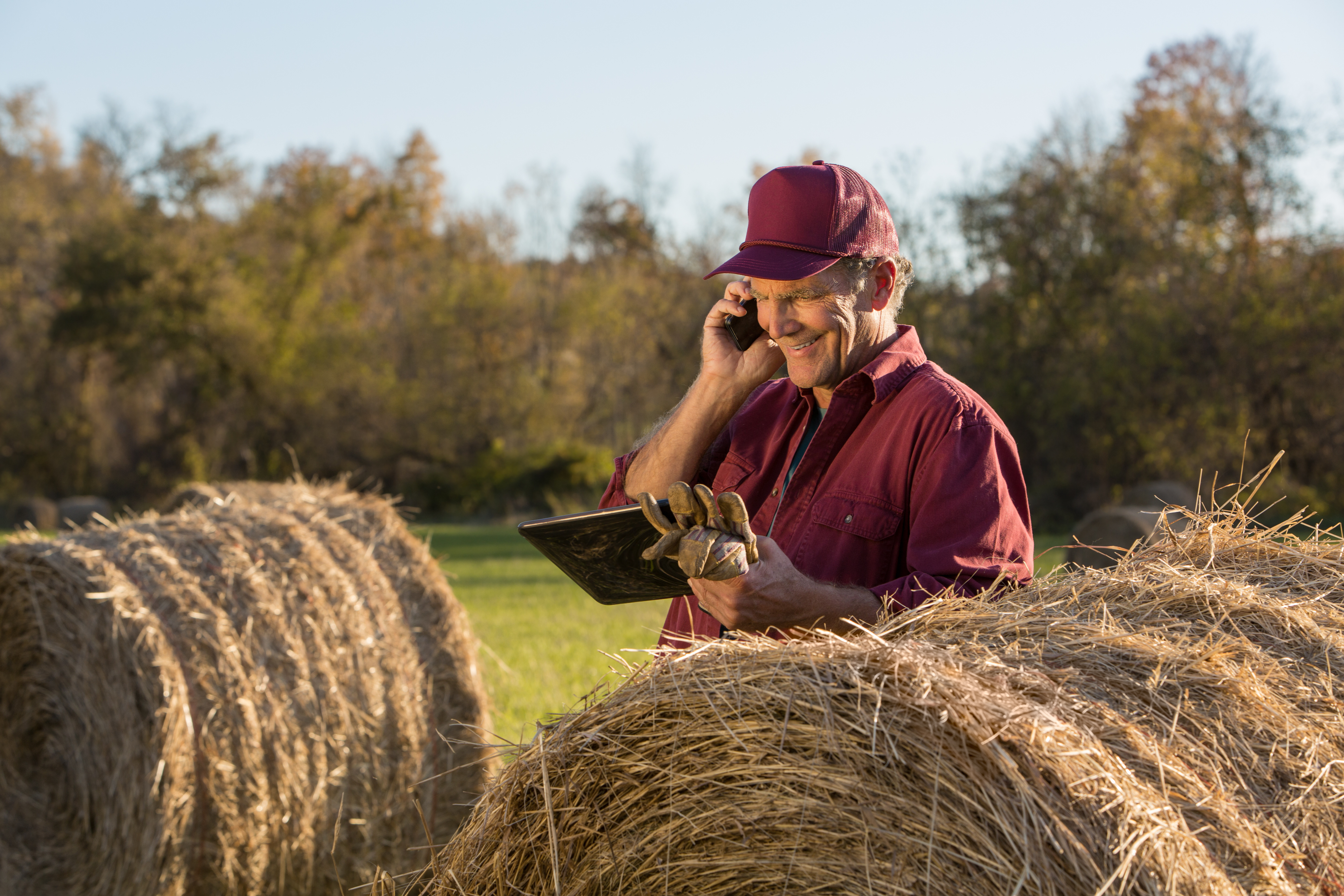 Digital innovation could help pandemic-proof the UK’s dairy industry