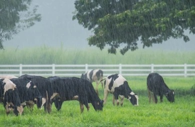 Farmers Urged To Take Advantage Of Long Rains