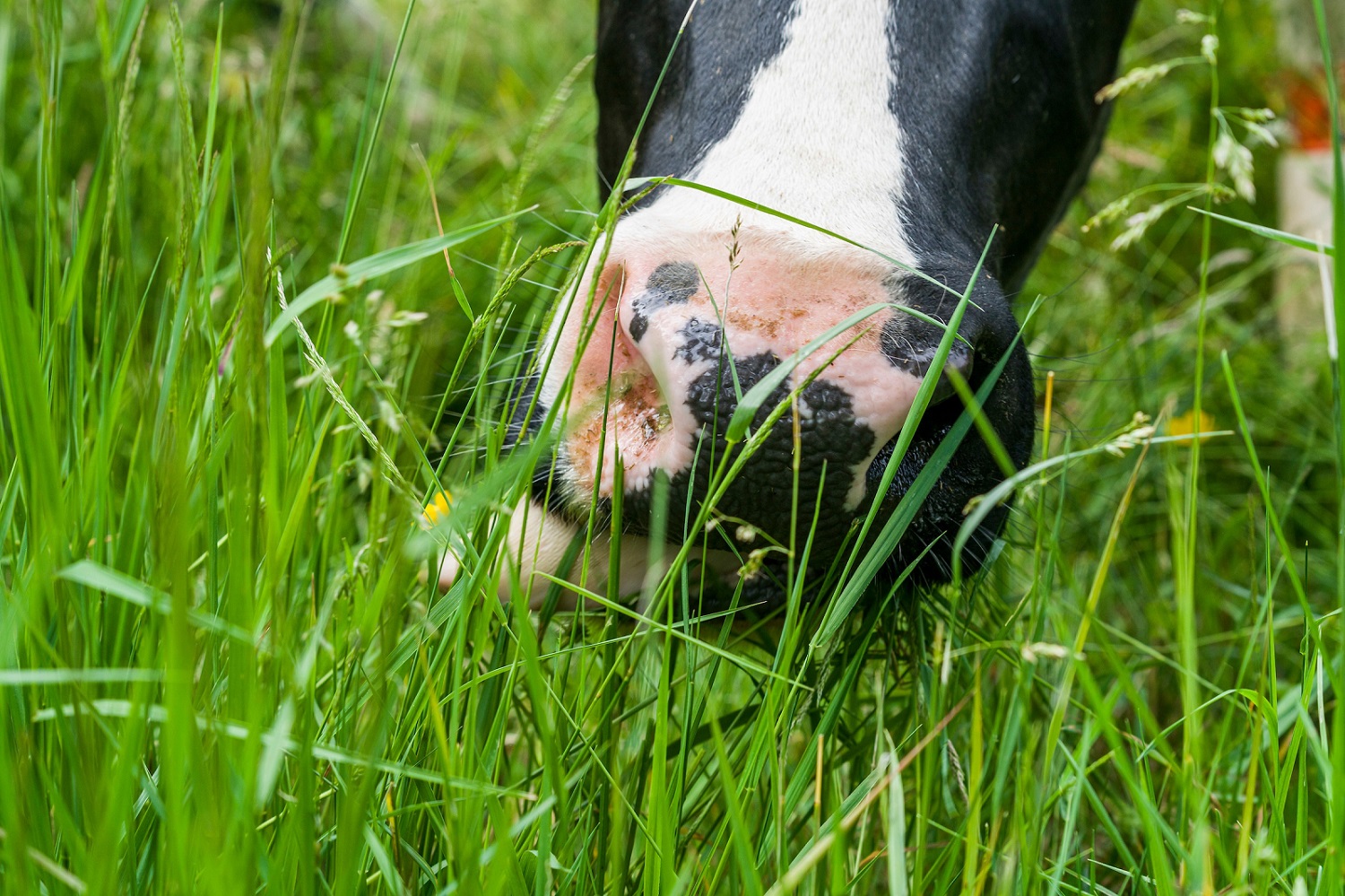 Farmers need to adopt agroecological practices