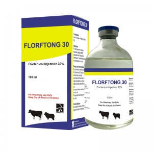 FLORFTONG 30 Flofenicol Injection 30%