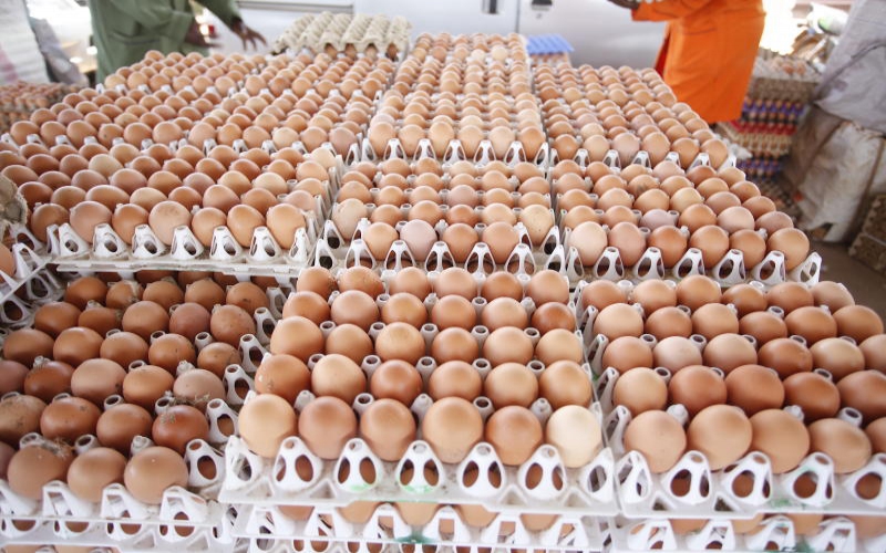 Kenyan traders seek tougher ban on Uganda’s poultry imports