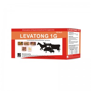 LEVATONG 1G Levamisole bolus 1g