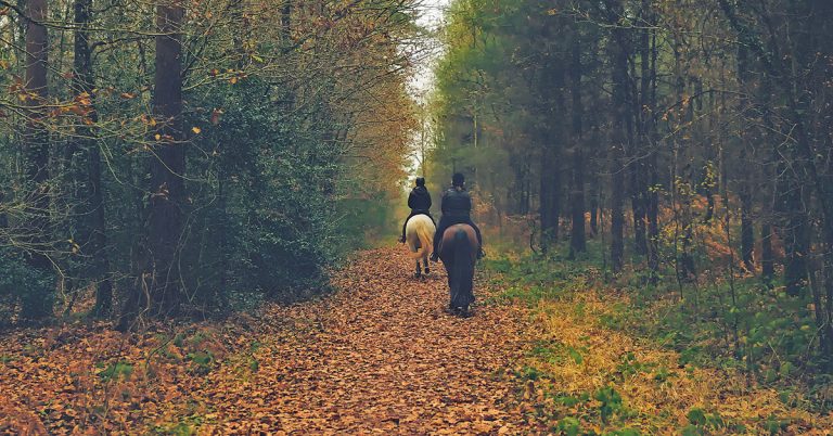 Making wildlife part of your horse business