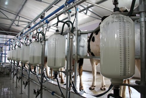 New methods to predict methane emissions of dairy cattle