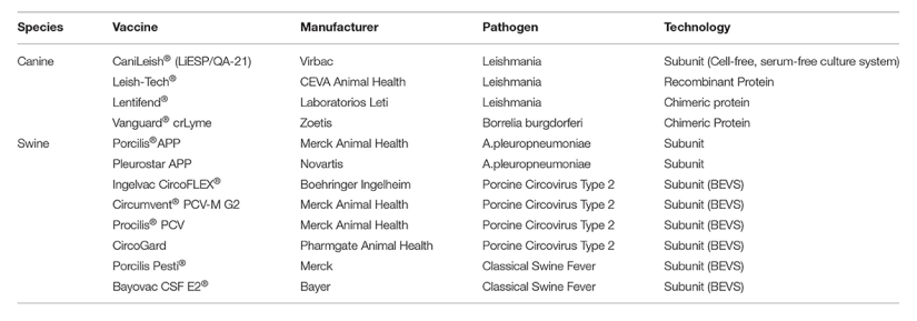 Novel Vaccine Technologies in Veterinary Medicine: A Herald to Human Medicine Vaccines