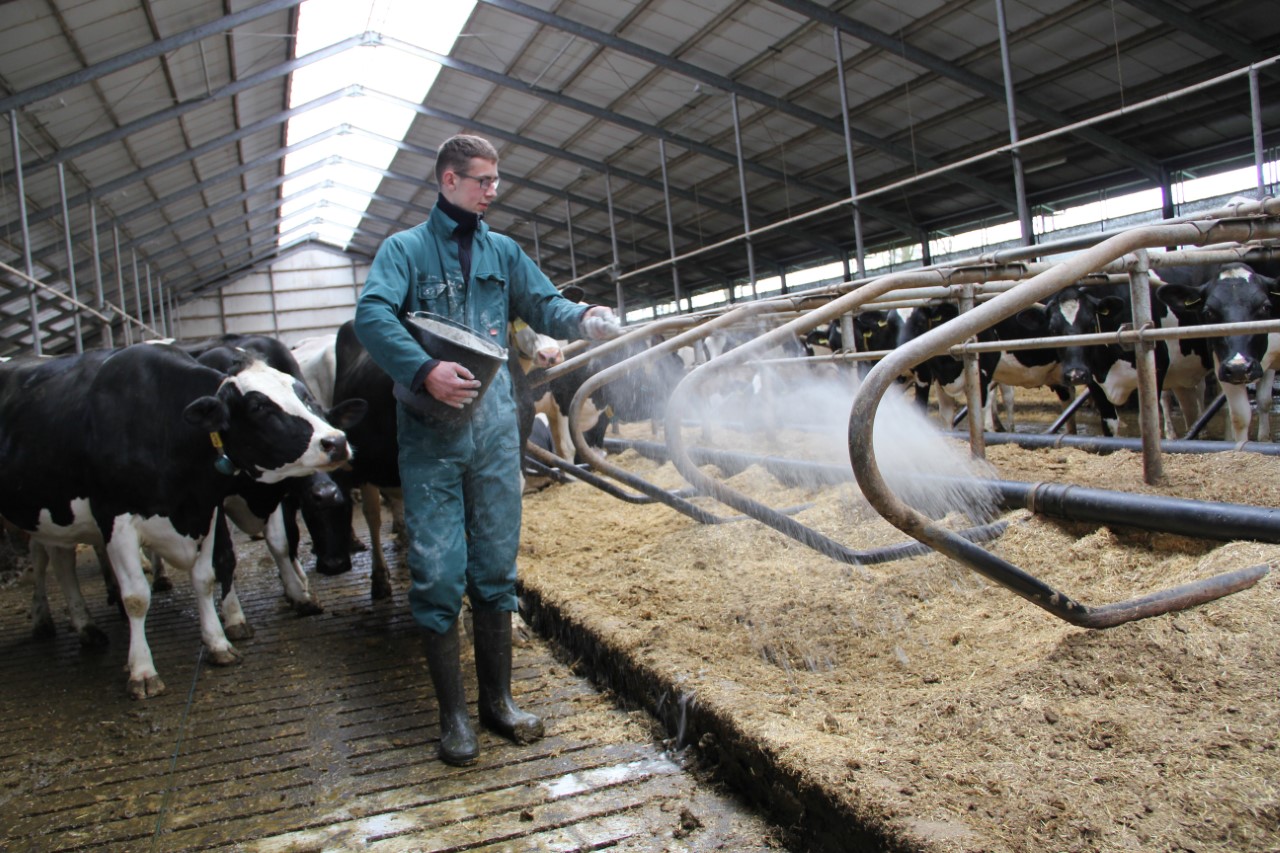 On-farm emissions reduced by proactive slurry management