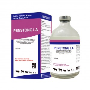 Procaine benzylpenicillin 120,000 I.U. + Benzathine benzylpenicillin 80,000 I.U. + Dihydrostreptomycin sulphate 20% Injectable Suspension