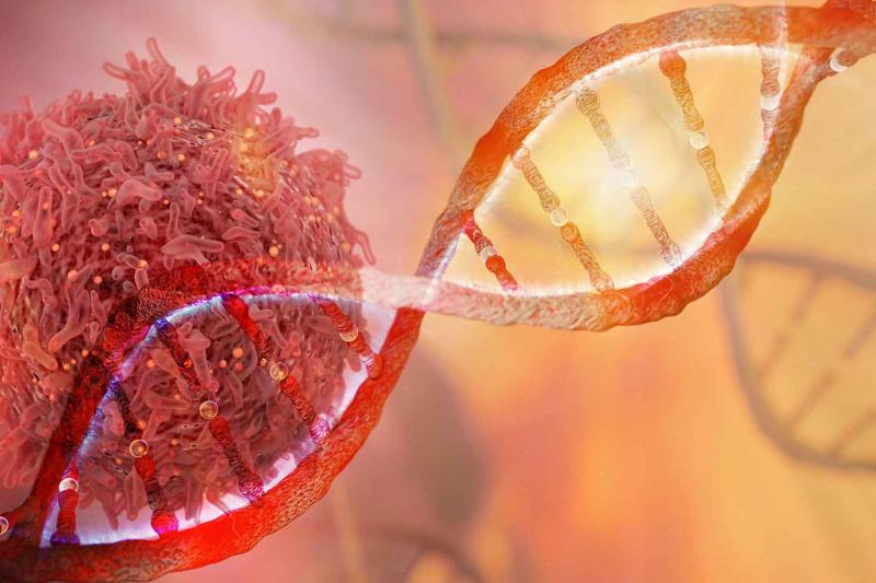 Pirbright scientists use ground-breaking techniques to identify how a ruminant virus can adapt to infect human cells