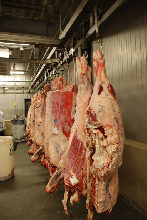 Planning and managing direct marketing opportunities for beef