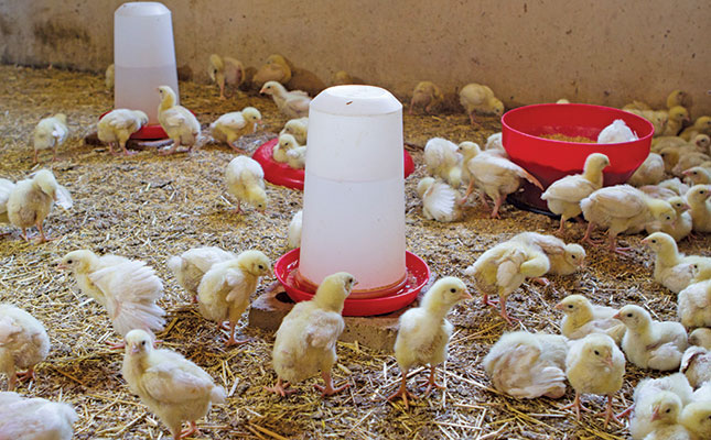 Poultry litter to biogas adding more value to farm waste