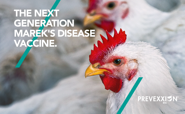 Prevexxion RN The next generation Marek’s disease vaccine