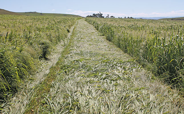 Proper planning the key ingredient for quality stored fodder