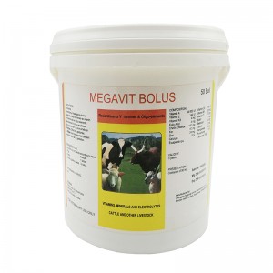 Murakkab Multivitamins planshetlar