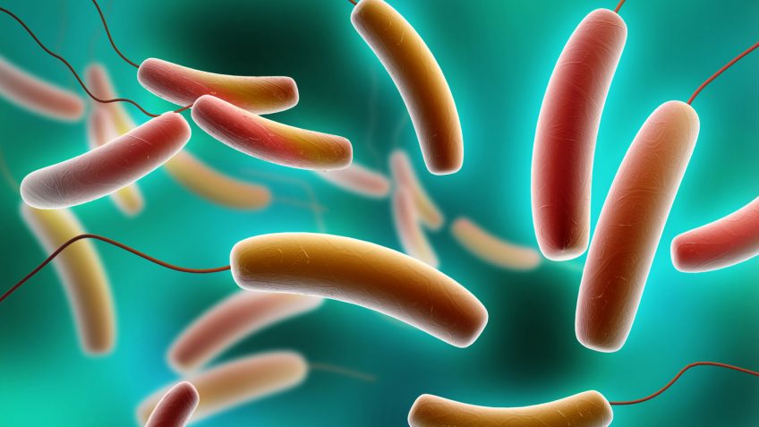 Research pinpoints unique drug target in antibiotic resistant bacteria