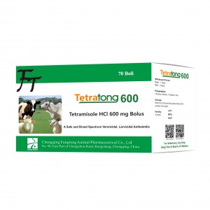 Tetramisole HCI 600mg Bolus