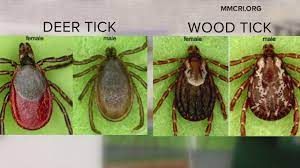 Tackling ticks through DNA