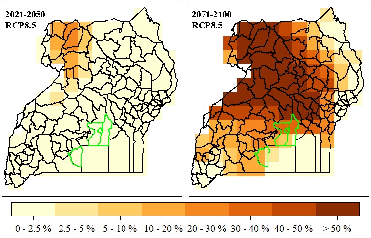 Taming heat stress – climate change adaptation of dairy, pig sectors in Uganda