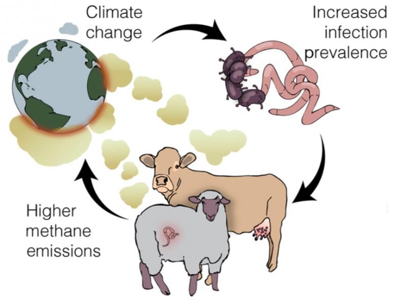 Vicious Cycle Climate Change Spreading Infectious Diseases, Which Contribute to Climate Change
