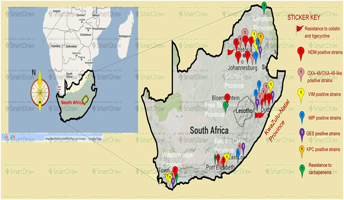 Current State of Resistance to Antibiotics of Last-Resort in South Africa: A Review from a Public Health Perspective