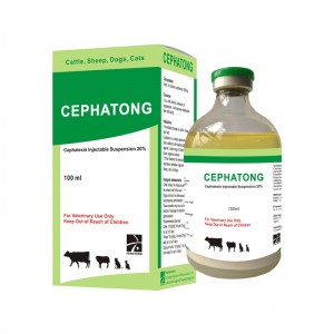 CEPHATONG   Cefalexin Injection 20%