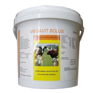 Cheapest Factory Veterinary Parasite Drug -
 Compound Multivitamins tablets – Fangtong